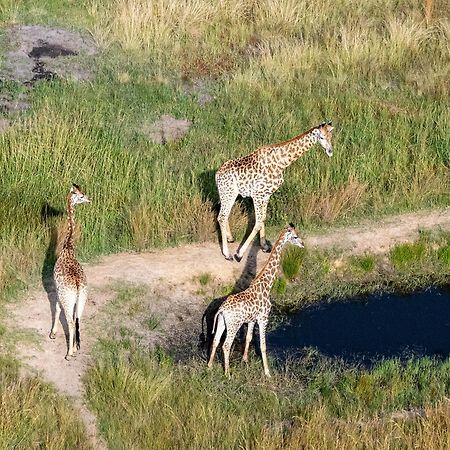 Zulu Rock Lodge - Babanango Game Reserve Ulundi Luaran gambar