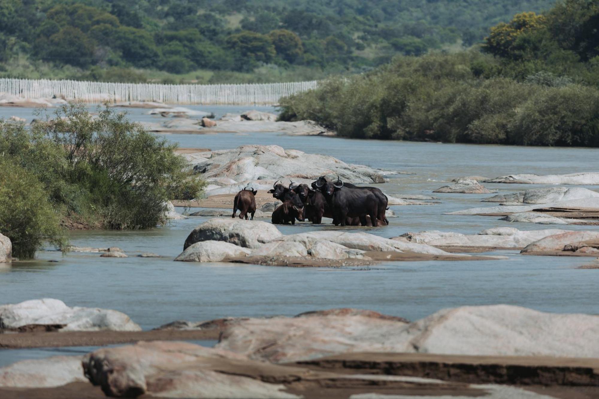 Zulu Rock Lodge - Babanango Game Reserve Ulundi Luaran gambar