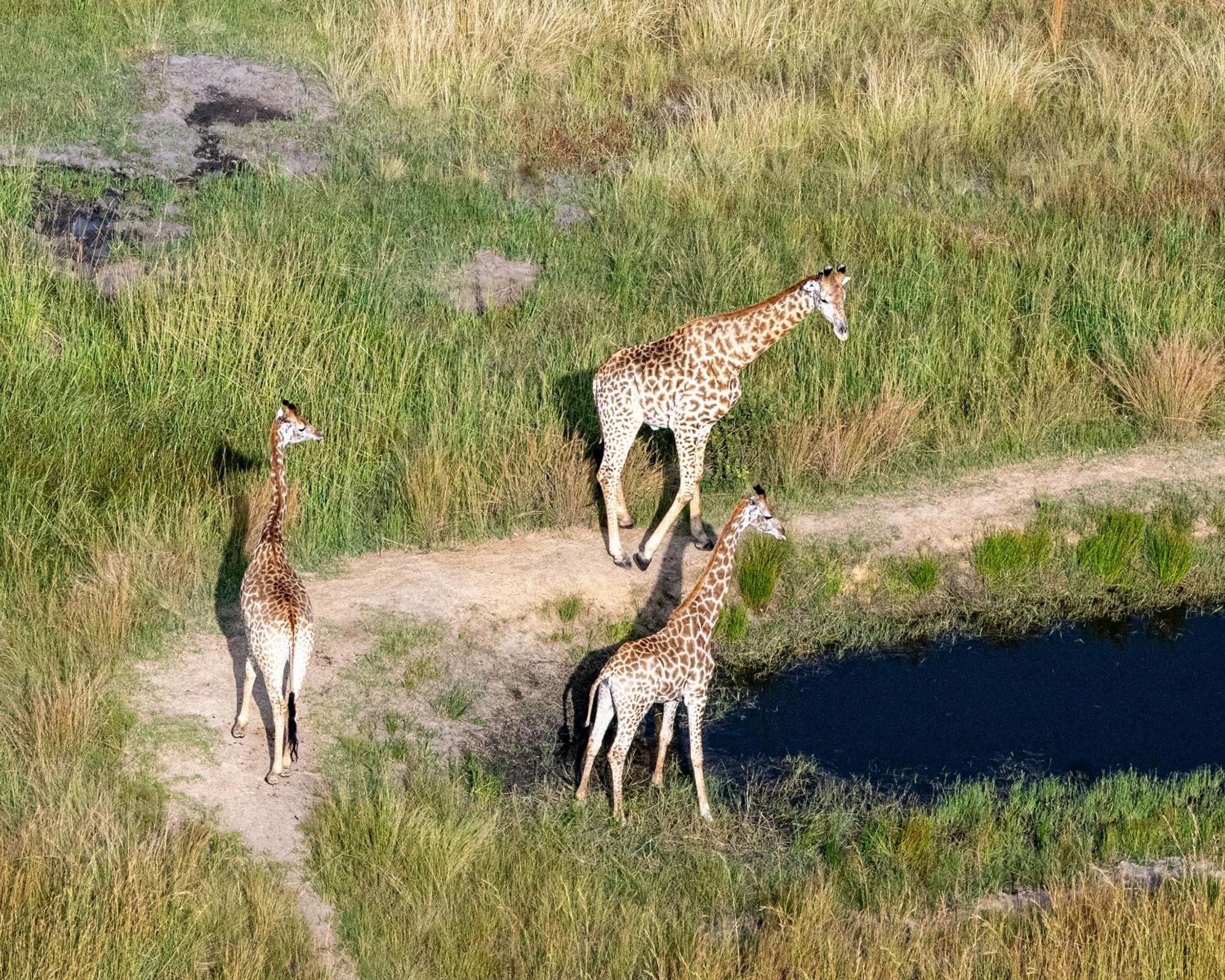 Zulu Rock Lodge - Babanango Game Reserve Ulundi Luaran gambar