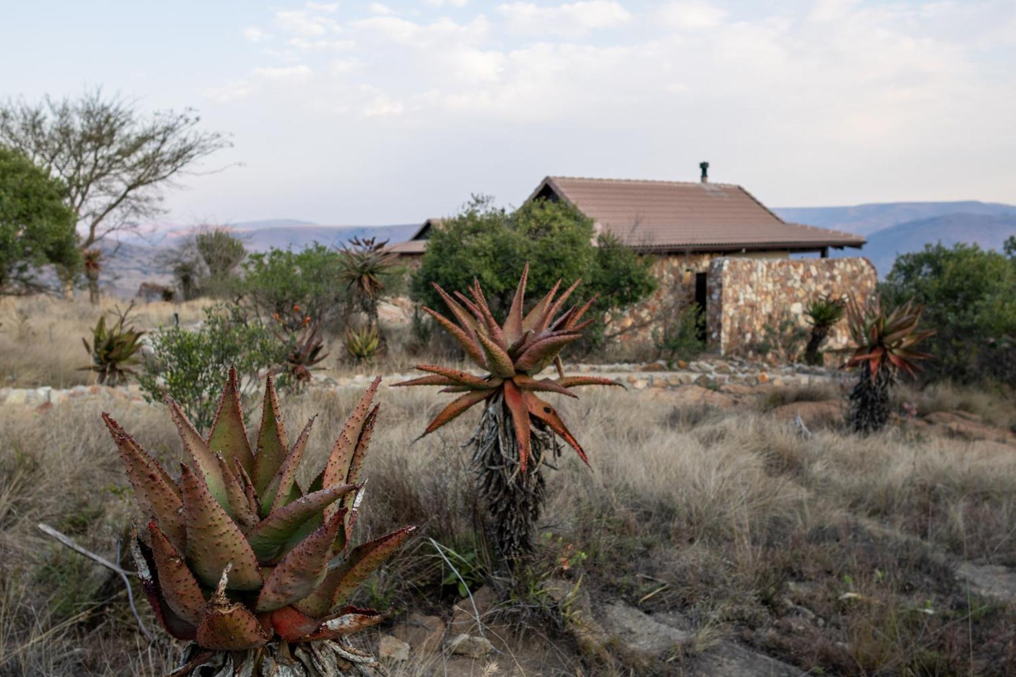 Zulu Rock Lodge - Babanango Game Reserve Ulundi Luaran gambar